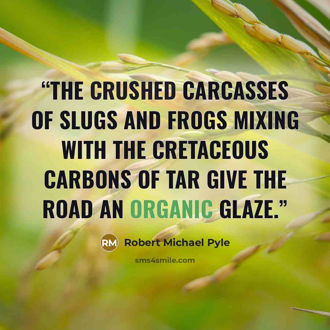 “the crushed carcasses of slugs and frogs mixing with the Cretaceous carbons of tar give the road an organic glaze.” quote by Robert Michael Pyle