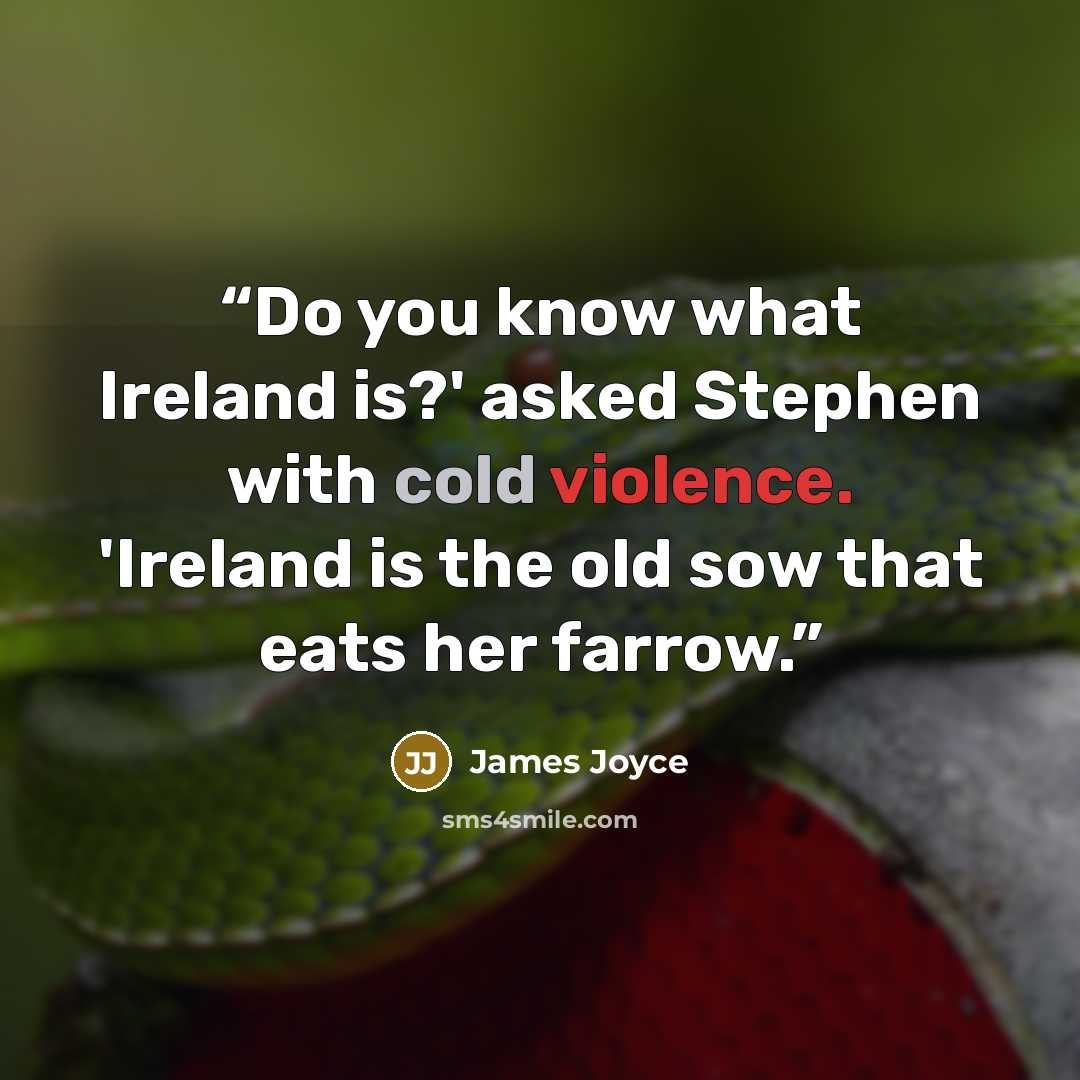 “Do you know what Ireland is?' asked Stephen with cold violence. 'Ireland is the old sow that eats her farrow.” quote by James Joyce