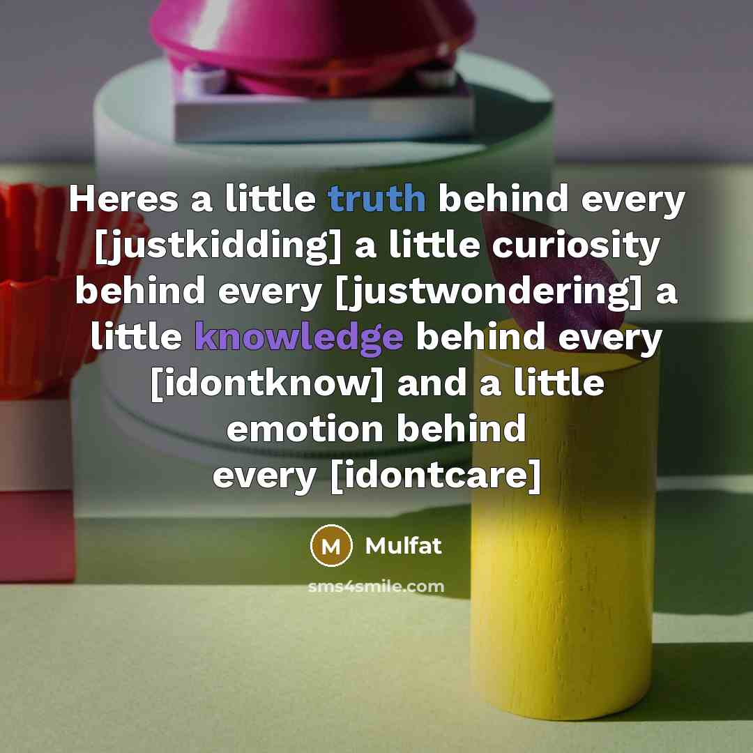 “Heres a little truth behind every [justkidding] a little curiosity behind every [justwondering] a little knowledge behind every [idontknow] and a little emotion behind every [idontcare]” quote by Mulfat
