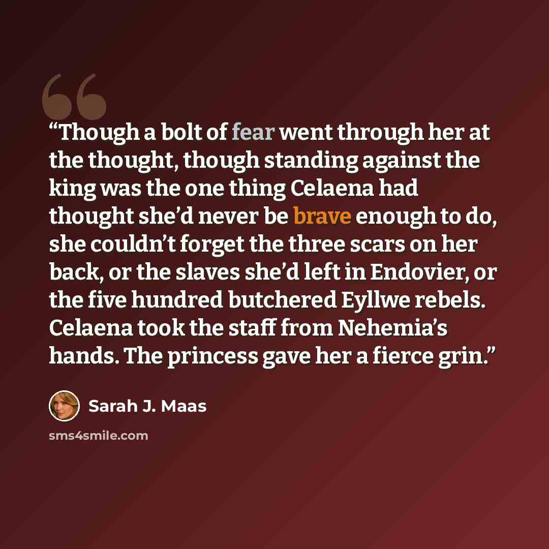 “Though a bolt of fear went through her at the thought, though standing against the king was the one thing Celaena had thought she’d never be brave enough to do, she couldn’t forget the three scars on her back, or the slaves she’d left in Endovier, or the five hundred butchered Eyllwe rebels…” quote by Sarah J. Maas