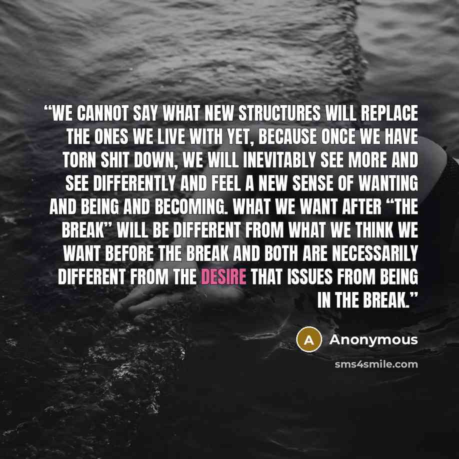 “We cannot say what new structures will replace the ones we live with yet, because once we have torn shit down, we will inevitably see more and see differently and feel a new sense of wanting and being and becoming. What we want after “the break” will be different from what we think we want before…” quote by Anonymous