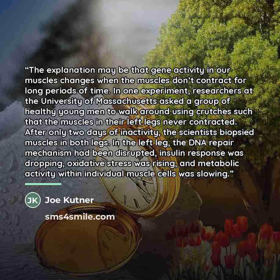 “The explanation may be that gene activity in our muscles changes when the muscles don’t contract for long periods of time. In one experiment, researchers at the University of Massachusetts asked a group of healthy young men to walk around using crutches such that the muscles in their left legs…” quote by Joe Kutner
