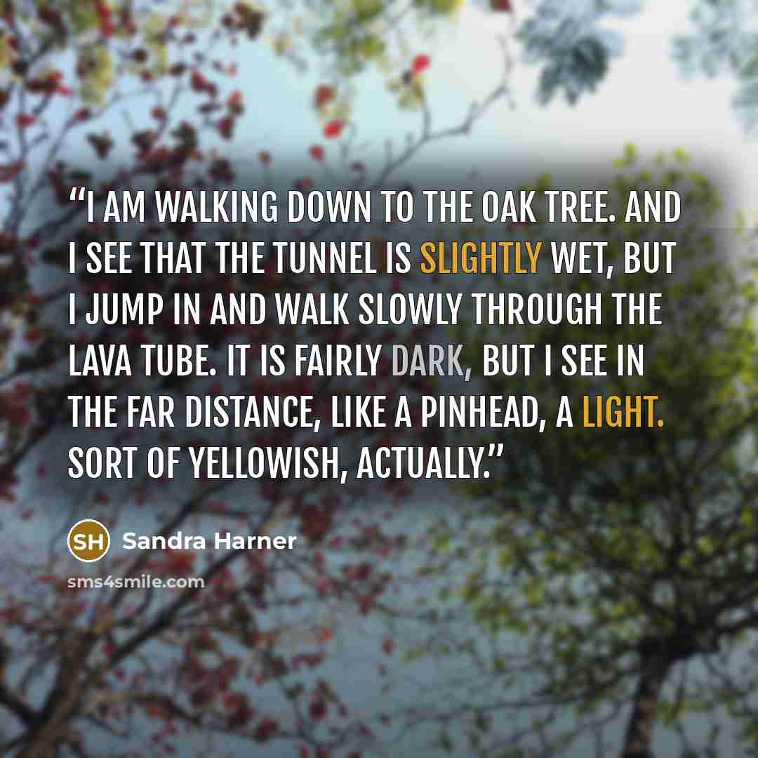“I am walking down to the oak tree. And I see that the tunnel is slightly wet, but I jump in and walk slowly through the lava tube. It is fairly dark, but I see in the far distance, like a pinhead, a light. Sort of yellowish, actually.” quote by Sandra Harner