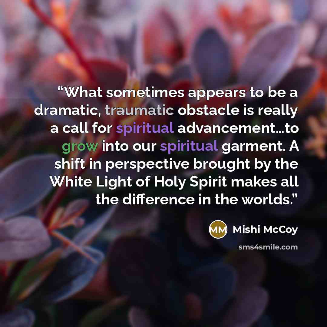 “What sometimes appears to be a dramatic, traumatic obstacle is really a call for spiritual advancement…to grow into our spiritual garment. A shift in perspective brought by the White Light of Holy Spirit makes all the difference in the worlds.” quote by Mishi McCoy