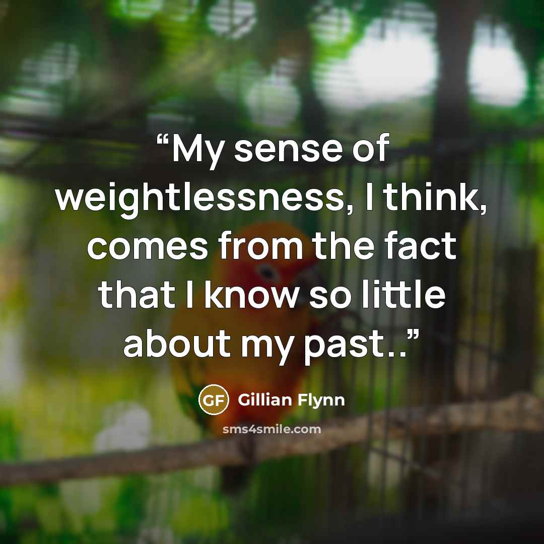 “My sense of weightlessness, I think, comes from the fact that I know so little about my past..” quote by Gillian Flynn