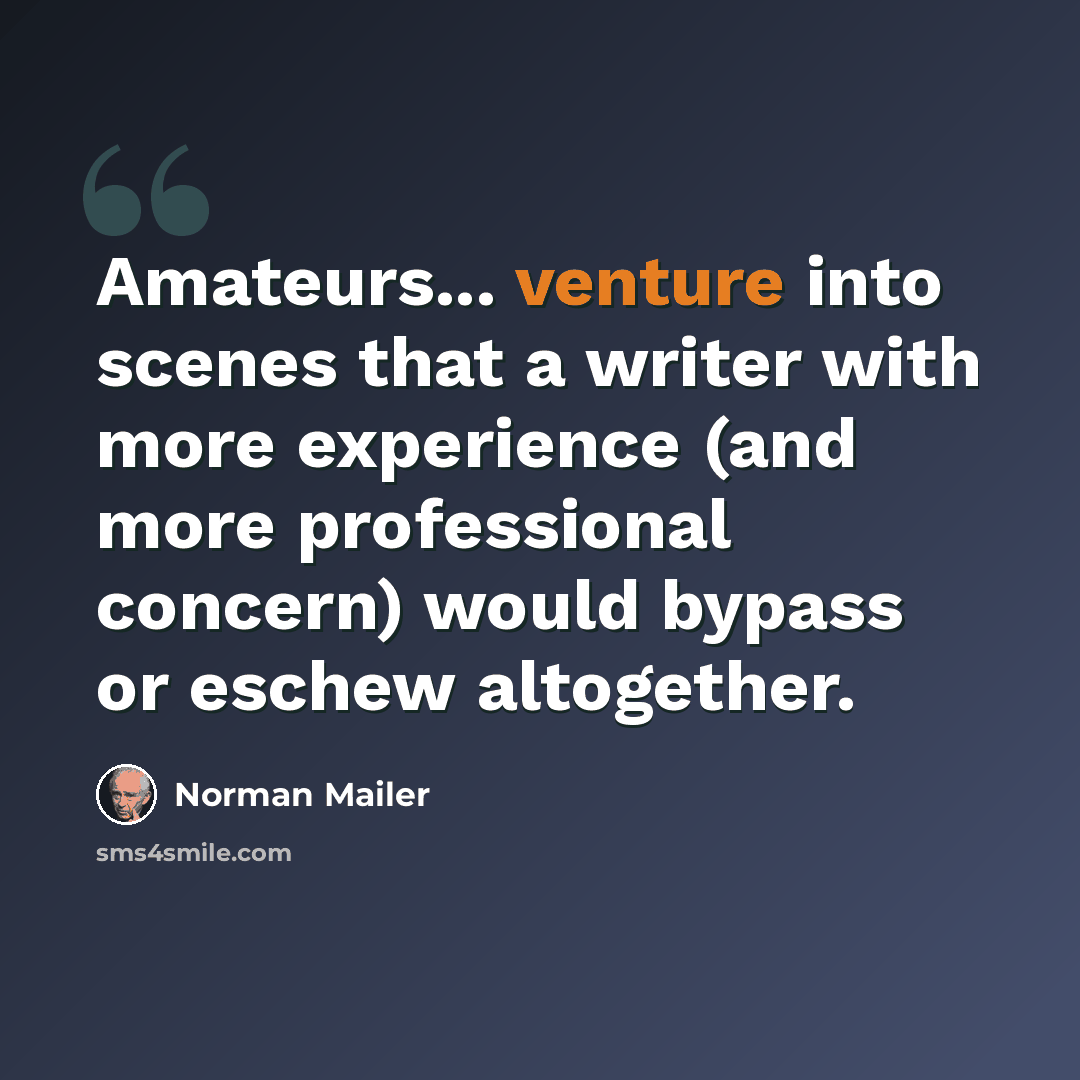 “Amateurs... venture into scenes that a writer with more experience (and more professional concern) would bypass or eschew altogether.” quote by Norman Mailer