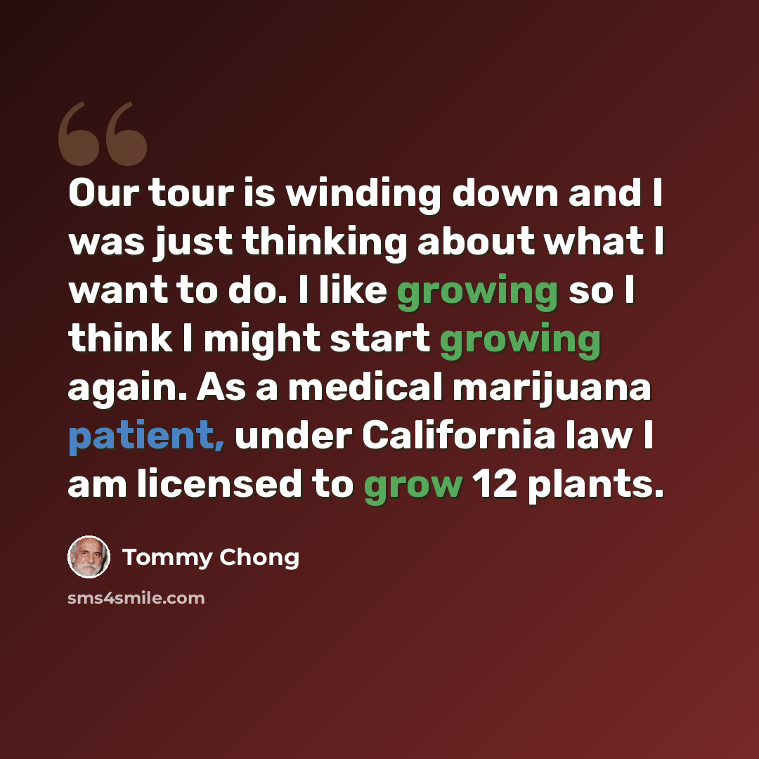 “Our tour is winding down and I was just thinking about what I want to do. I like growing so I think I might start growing again. As a medical marijuana patient, under California law I am licensed to grow 12 plants.” quote by Tommy Chong