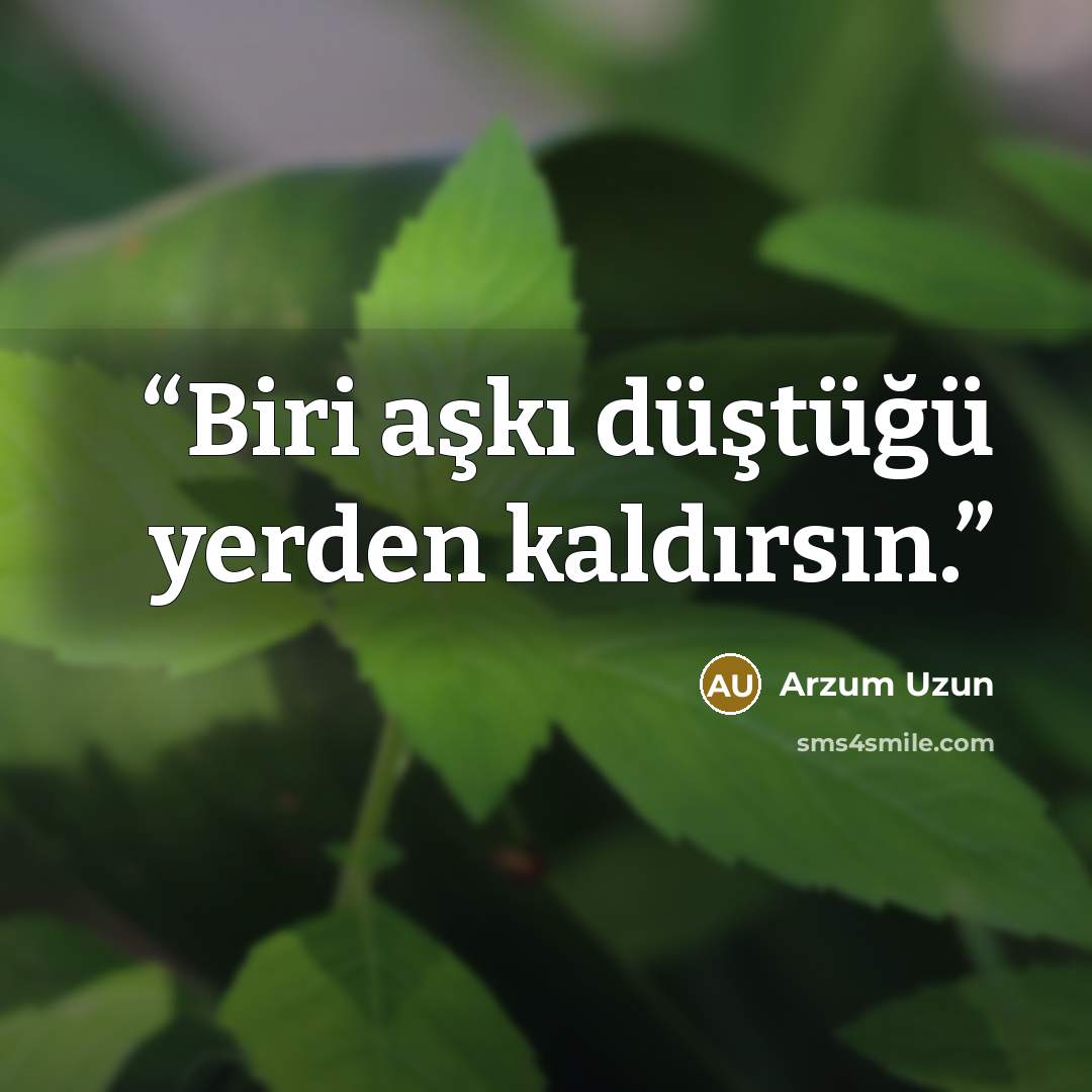 “Biri aşkı düştüğü yerden kaldırsın.” quote by Arzum Uzun