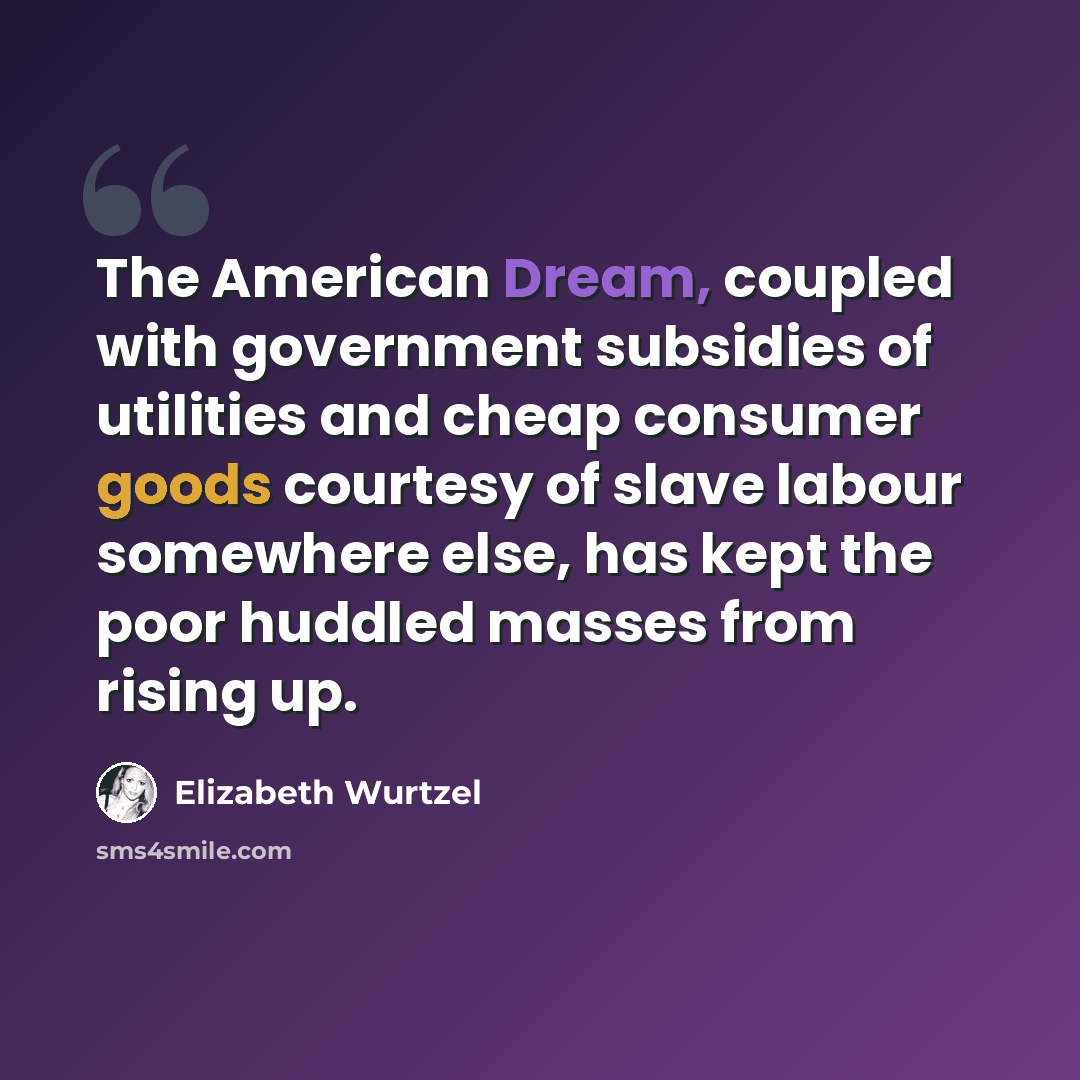 “The American Dream, coupled with government subsidies of utilities and cheap consumer goods courtesy of slave labour somewhere else, has kept the poor huddled masses from rising up.” quote by Elizabeth Wurtzel