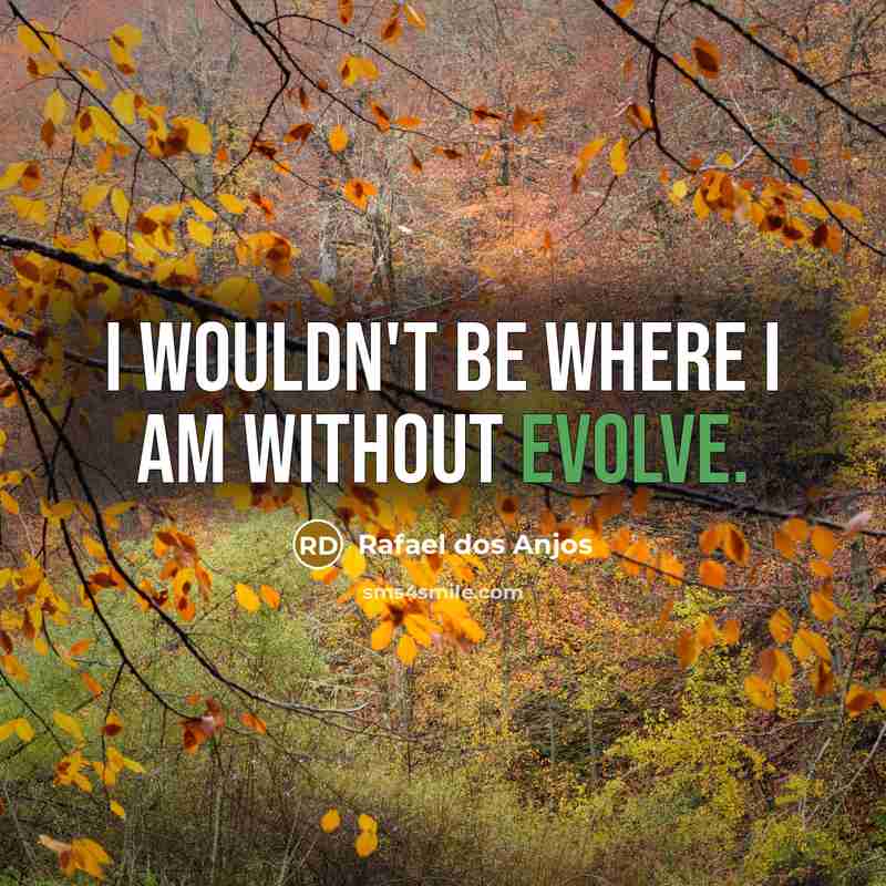 “I wouldn't be where I am without Evolve.” quote by Rafael dos Anjos