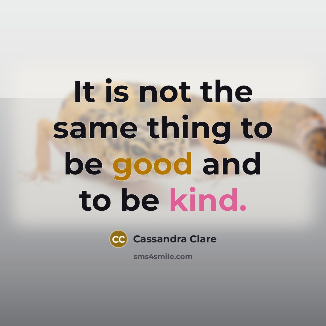 “It is not the same thing to be good and to be kind.” quote by Cassandra Clare