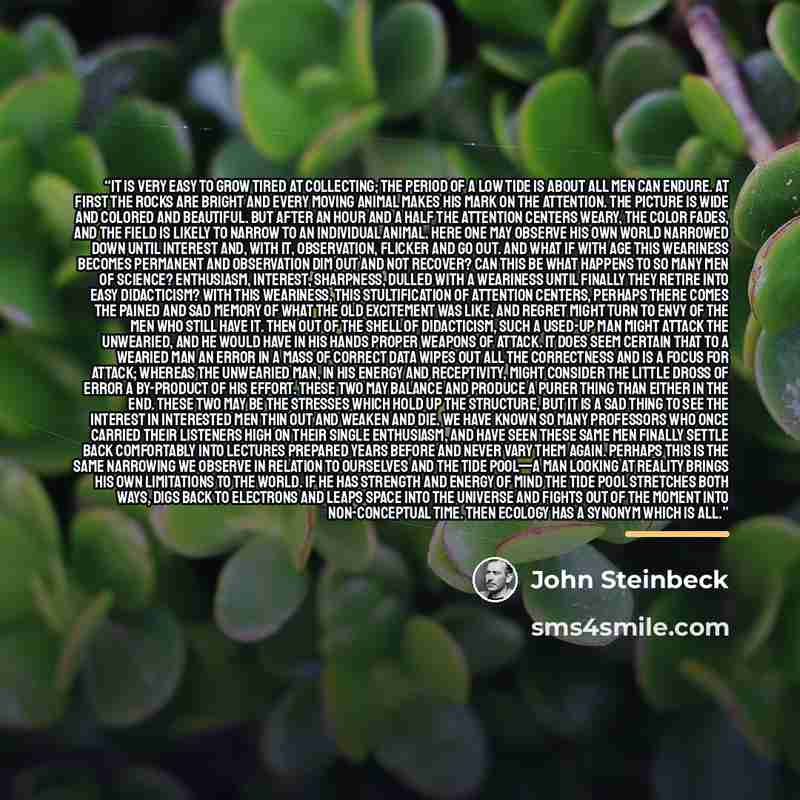 “It is very easy to grow tired at collecting; the period of a low tide is about all men can endure. At first the rocks are bright and every moving animal makes his mark on the attention. The picture is wide and colored and beautiful. But after an hour and a half the attention centers weary, the…” quote by John Steinbeck