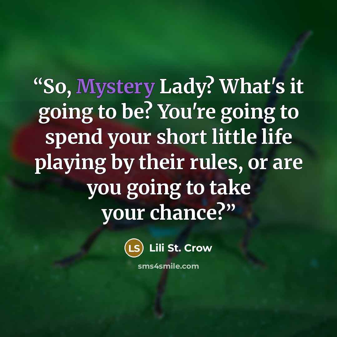 “So, Mystery Lady? What's it going to be? You're going to spend your short little life playing by their rules, or are you going to take your chance?” quote by Lili St. Crow