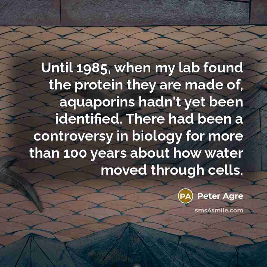 “Until 1985, when my lab found the protein they are made of, aquaporins hadn't yet been identified. There had been a controversy in biology for more than 100 years about how water moved through cells.” quote by Peter Agre