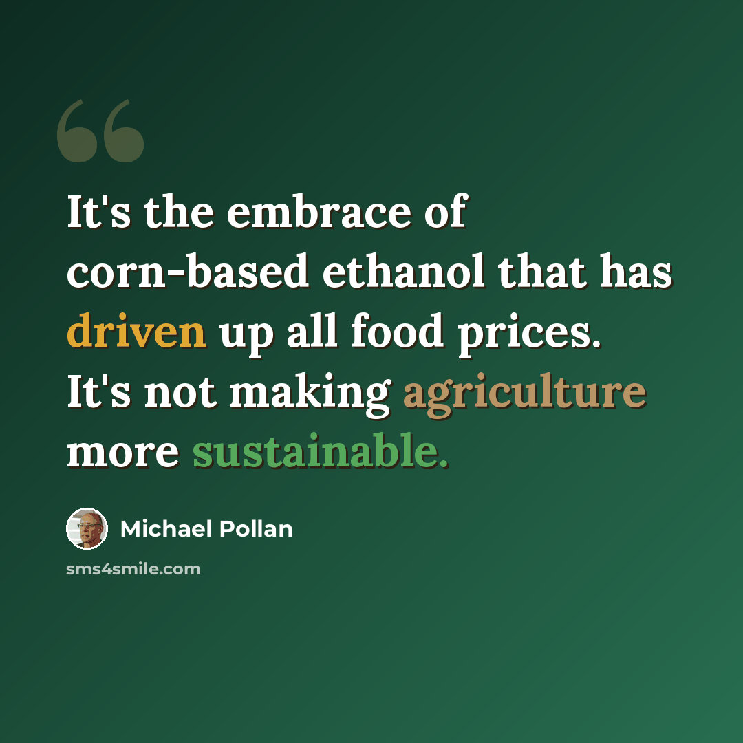 “It's the embrace of corn-based ethanol that has driven up all food prices. It's not making agriculture more sustainable.” quote by Michael Pollan