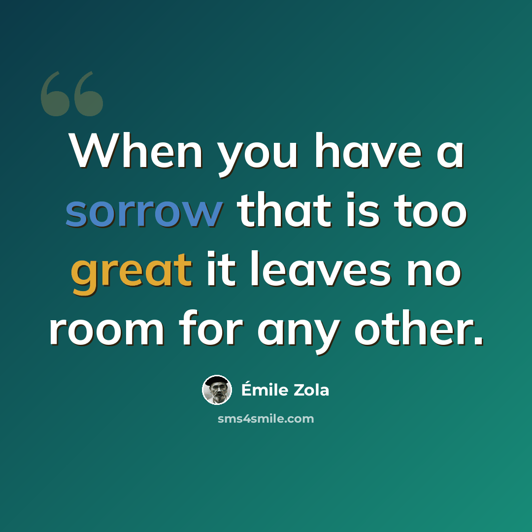“When you have a sorrow that is too great it leaves no room for any other.” quote by Emile Zola