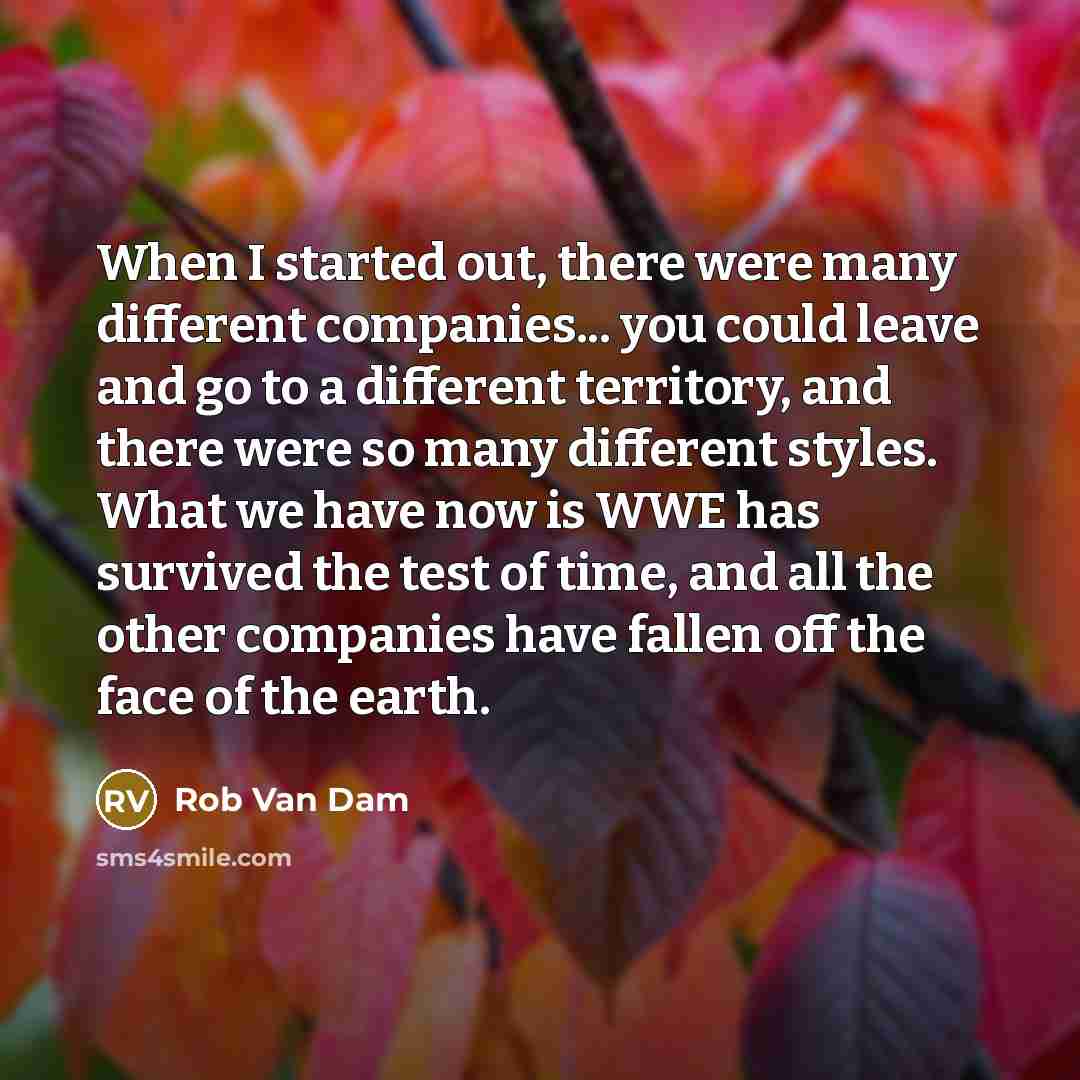 “When I started out, there were many different companies... you could leave and go to a different territory, and there were so many different styles. What we have now is WWE has survived the test of time, and all the other companies have fallen off the face of the earth.” quote by Rob Van Dam