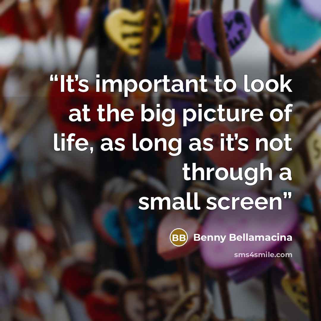 “It’s important to look at the big picture of life, as long as it’s not through a small screen” quote by Benny Bellamacina