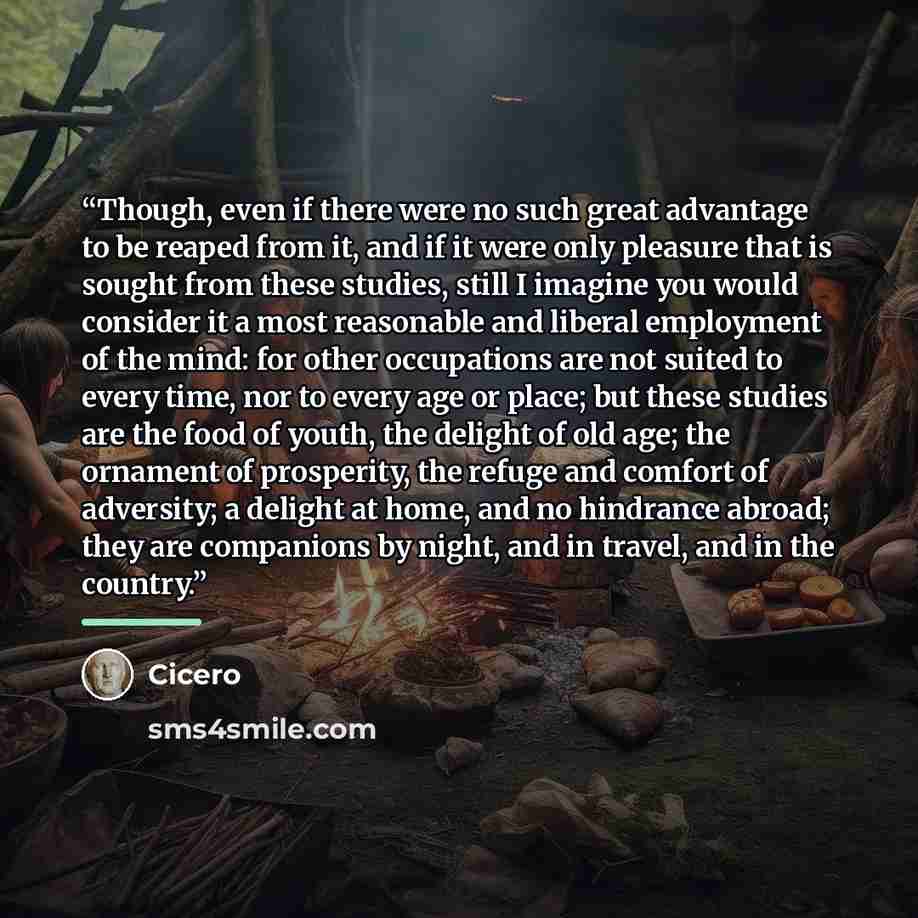 “Though, even if there were no such great advantage to be reaped from it, and if it were only pleasure that is sought from these studies, still I imagine you would consider it a most reasonable and liberal employment of the mind: for other occupations are not suited to every time, nor to every age…” quote by Cicero