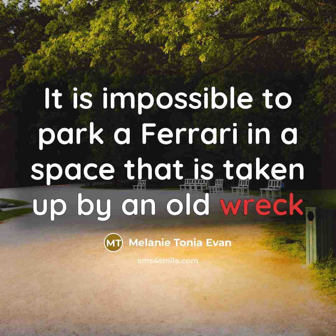 “It is impossible to park a Ferrari in a space that is taken up by an old wreck” quote by Melanie Tonia Evan