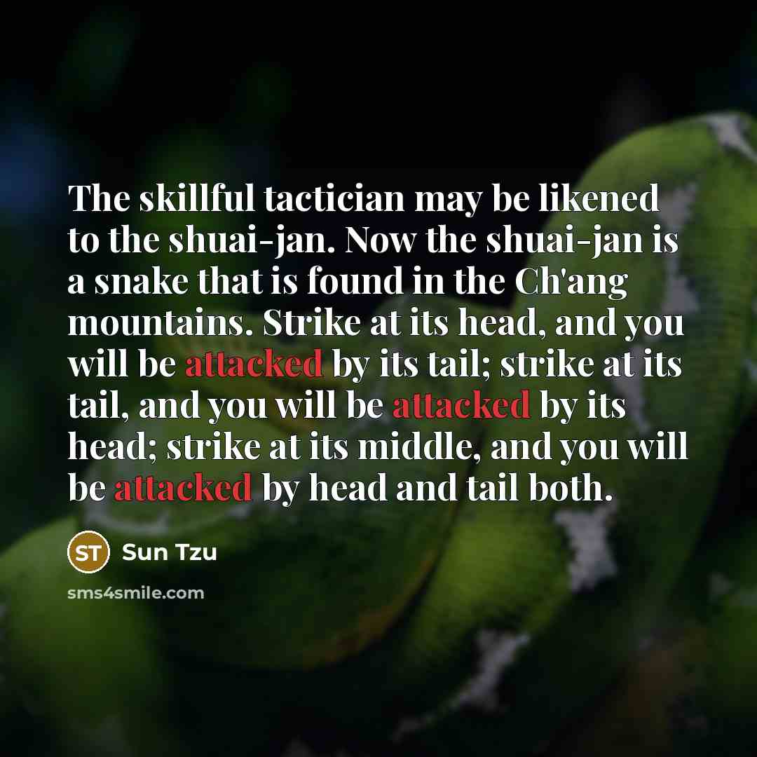 “The skillful tactician may be likened to the shuai-jan. Now the shuai-jan is a snake that is found in the Ch'ang mountains. Strike at its head, and you will be attacked by its tail; strike at its tail, and you will be attacked by its head; strike at its middle, and you will be attacked by head and…” quote by Sun Tzu