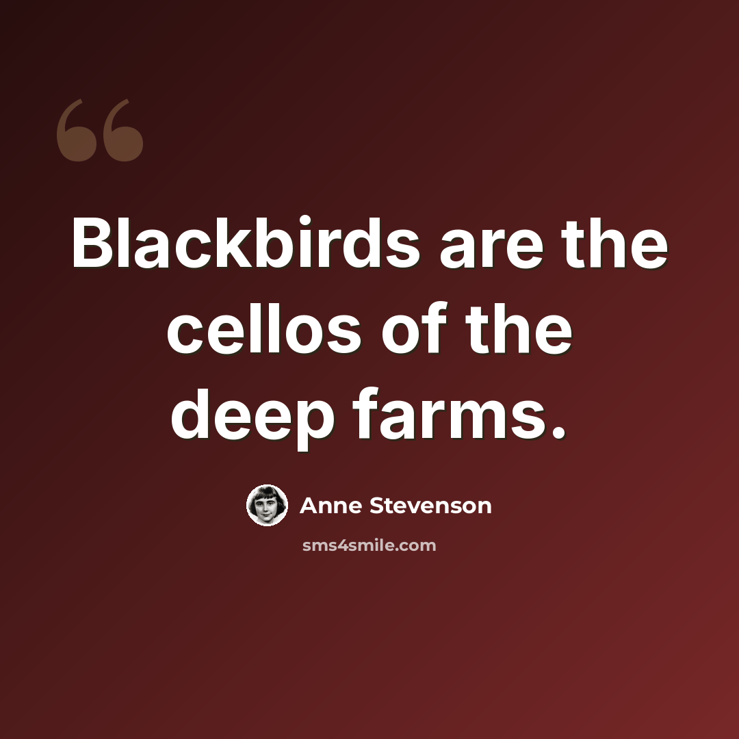 “Blackbirds are the cellos of the deep farms.” quote by Anne Stevenson