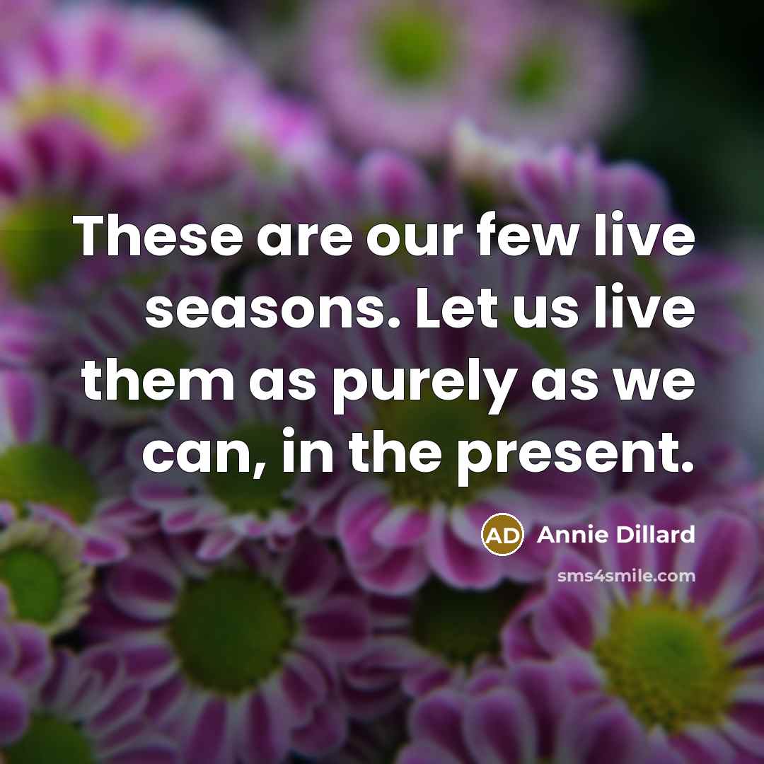 “These are our few live seasons. Let us live them as purely as we can, in the present.” quote by Annie Dillard