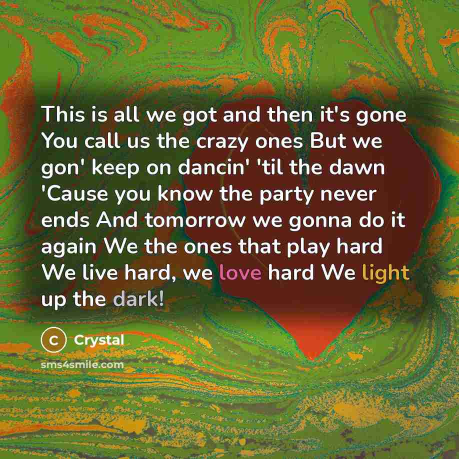 “This is all we got and then it's gone You call us the crazy ones But we gon' keep on dancin' 'til the dawn 'Cause you know the party never ends And tomorrow we gonna do it again We the ones that play hard We live hard, we love hard We light up the dark!” quote by Crystal