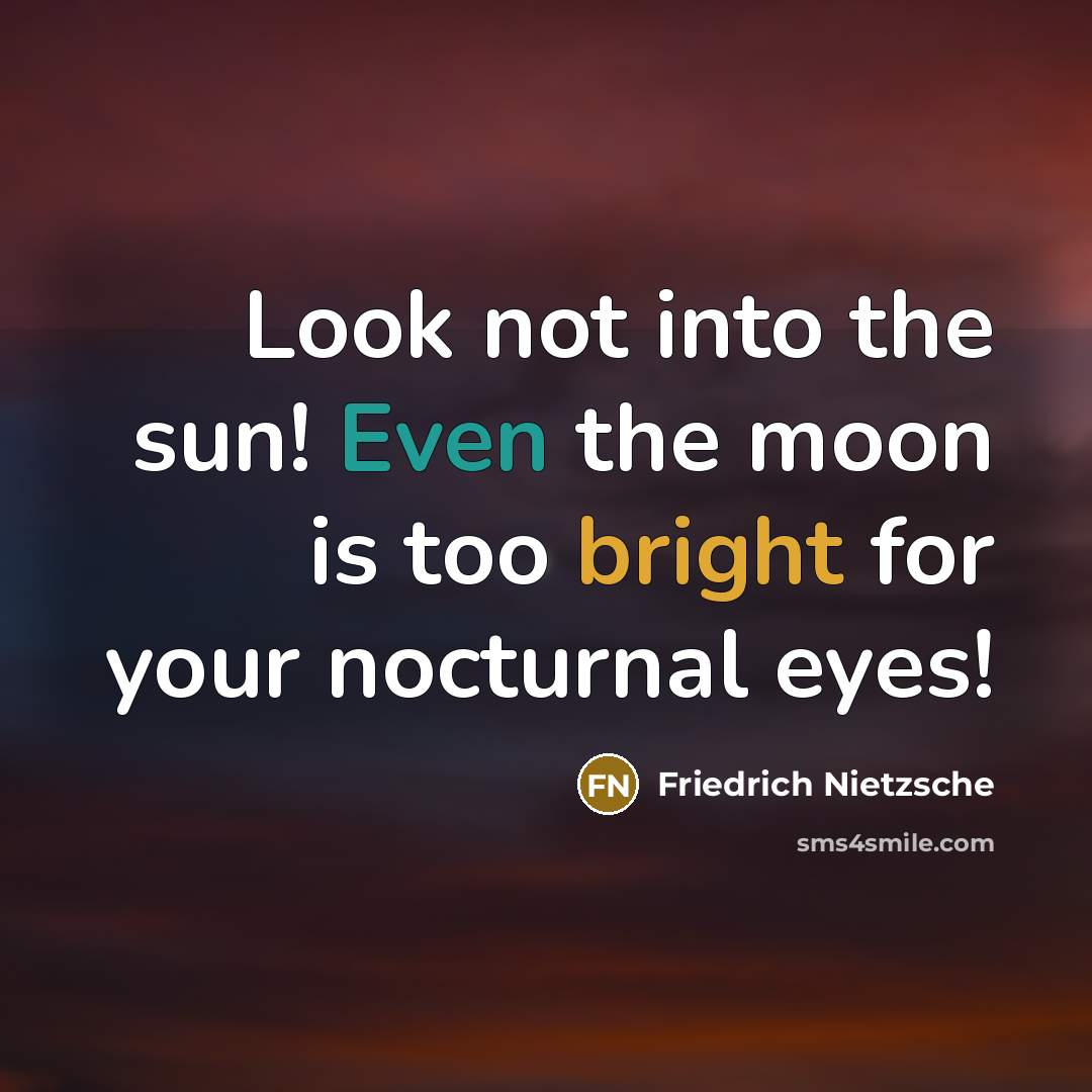 “Look not into the sun! Even the moon is too bright for your nocturnal eyes!” quote by Friedrich Nietzsche