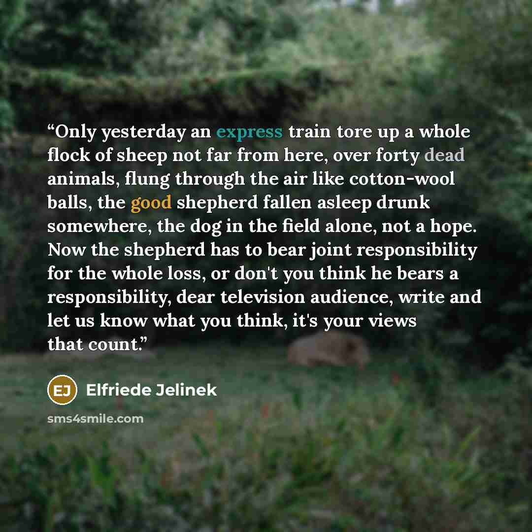 “Only yesterday an express train tore up a whole flock of sheep not far from here, over forty dead animals, flung through the air like cotton-wool balls, the good shepherd fallen asleep drunk somewhere, the dog in the field alone, not a hope. Now the shepherd has to bear joint responsibility for…” quote by Elfriede Jelinek