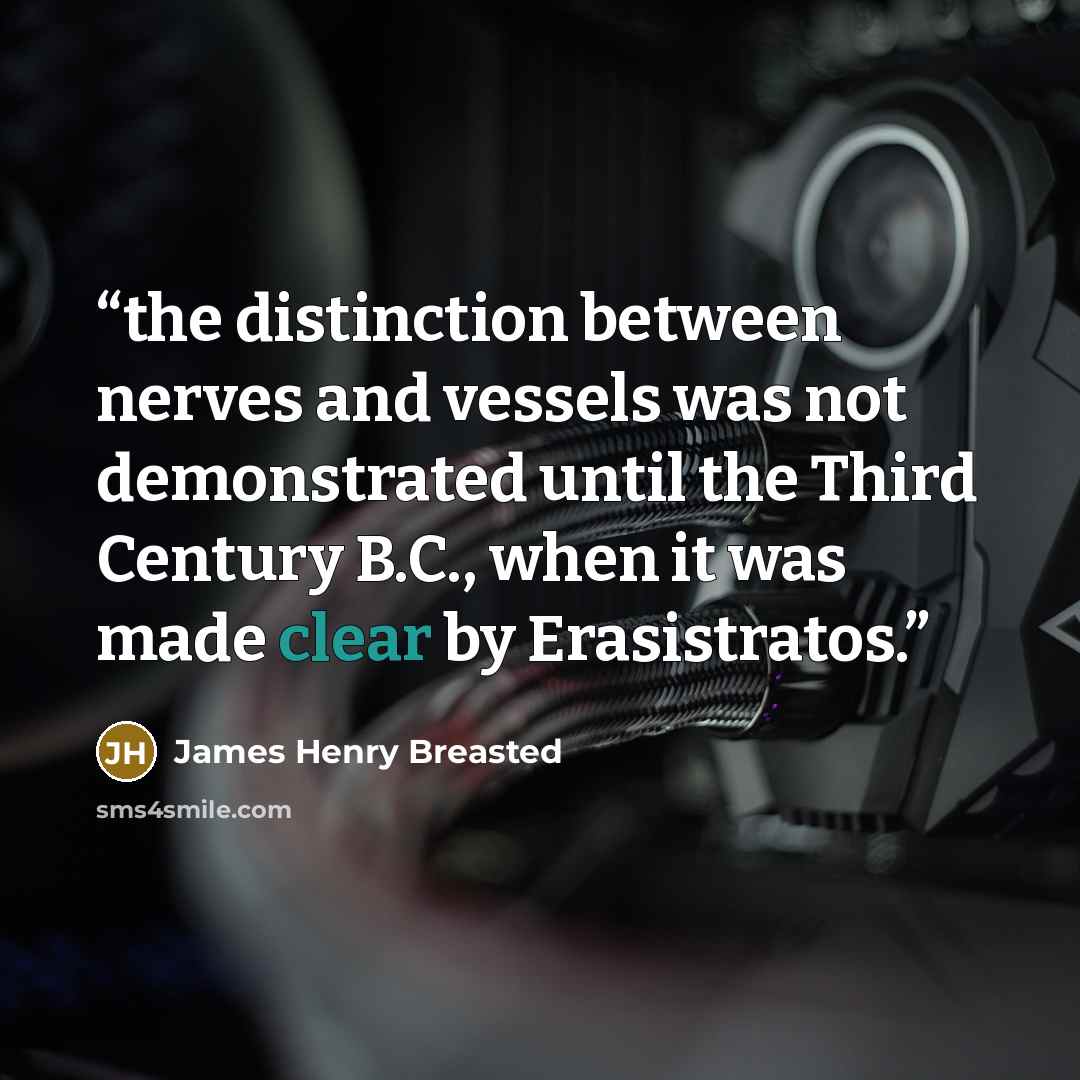 “the distinction between nerves and vessels was not demonstrated until the Third Century B.C., when it was made clear by Erasistratos.” quote by James Henry Breasted