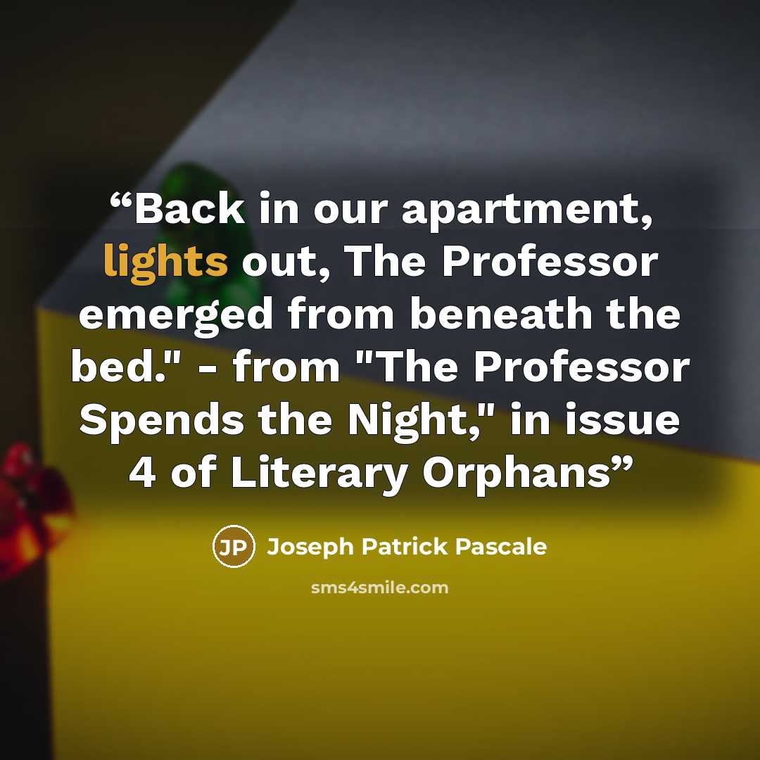 “Back in our apartment, lights out, The Professor emerged from beneath the bed." - from "The Professor Spends the Night," in issue 4 of Literary Orphans” quote by Joseph Patrick Pascale