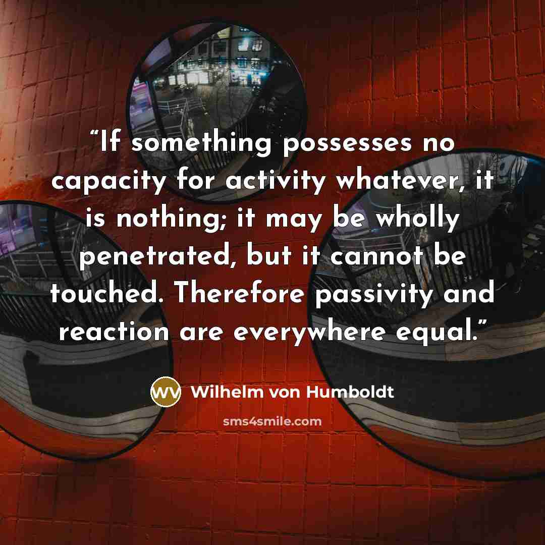 “If something possesses no capacity for activity whatever, it is nothing; it may be wholly penetrated, but it cannot be touched. Therefore passivity and reaction are everywhere equal.” quote by Wilhelm Von Humboldt