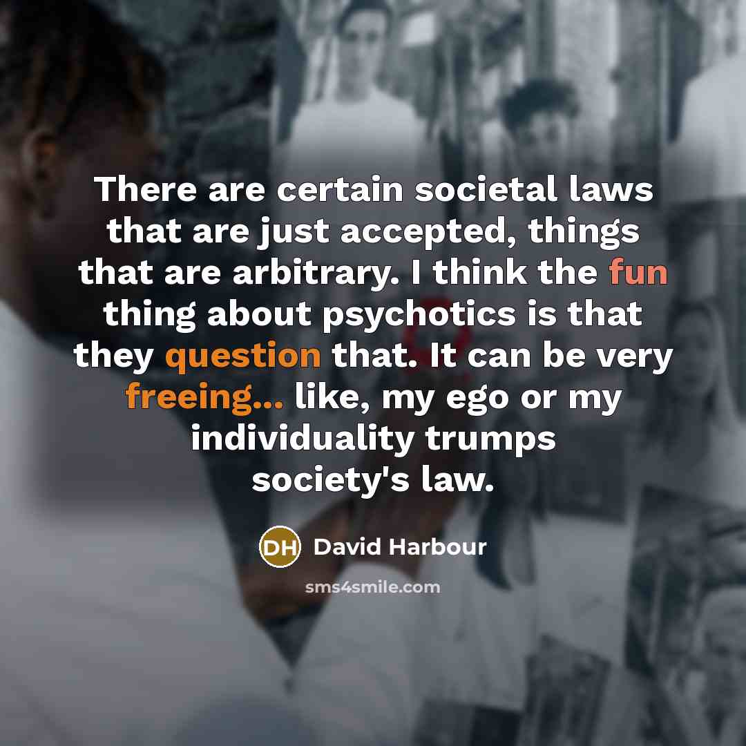 “There are certain societal laws that are just accepted, things that are arbitrary. I think the fun thing about psychotics is that they question that. It can be very freeing... like, my ego or my individuality trumps society's law.” quote by David Harbour