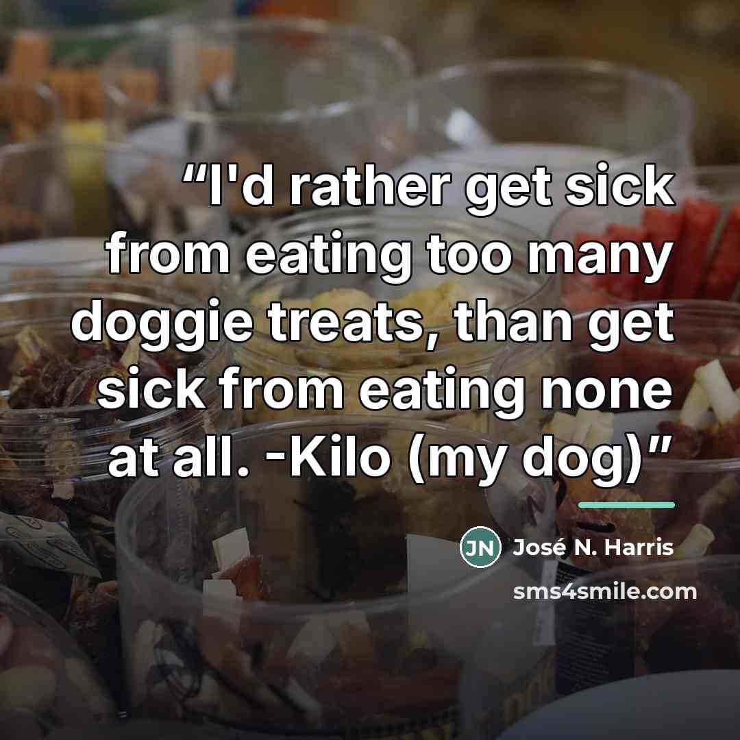 “I'd rather get sick from eating too many doggie treats, than get sick from eating none at all. -Kilo (my dog)” quote by José N. Harris