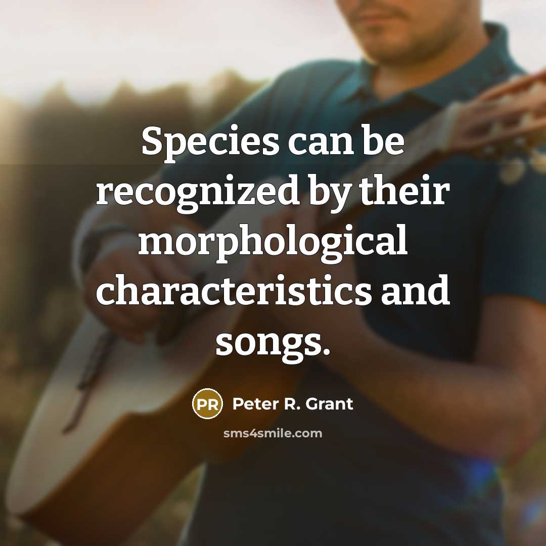“Species can be recognized by their morphological characteristics and songs.” quote by Peter R. Grant