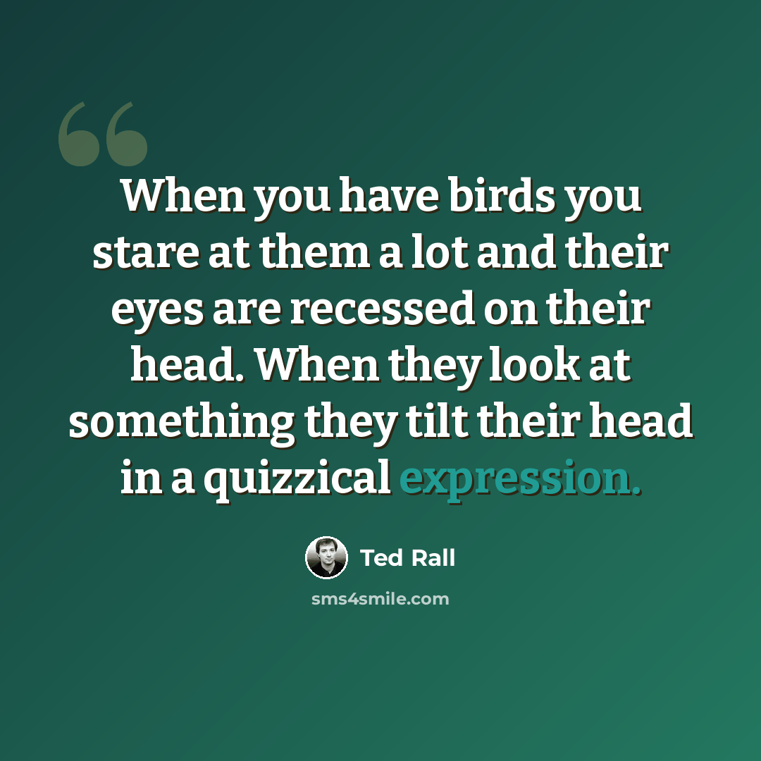 “When you have birds you stare at them a lot and their eyes are recessed on their head. When they look at something they tilt their head in a quizzical expression.” quote by Ted Rall