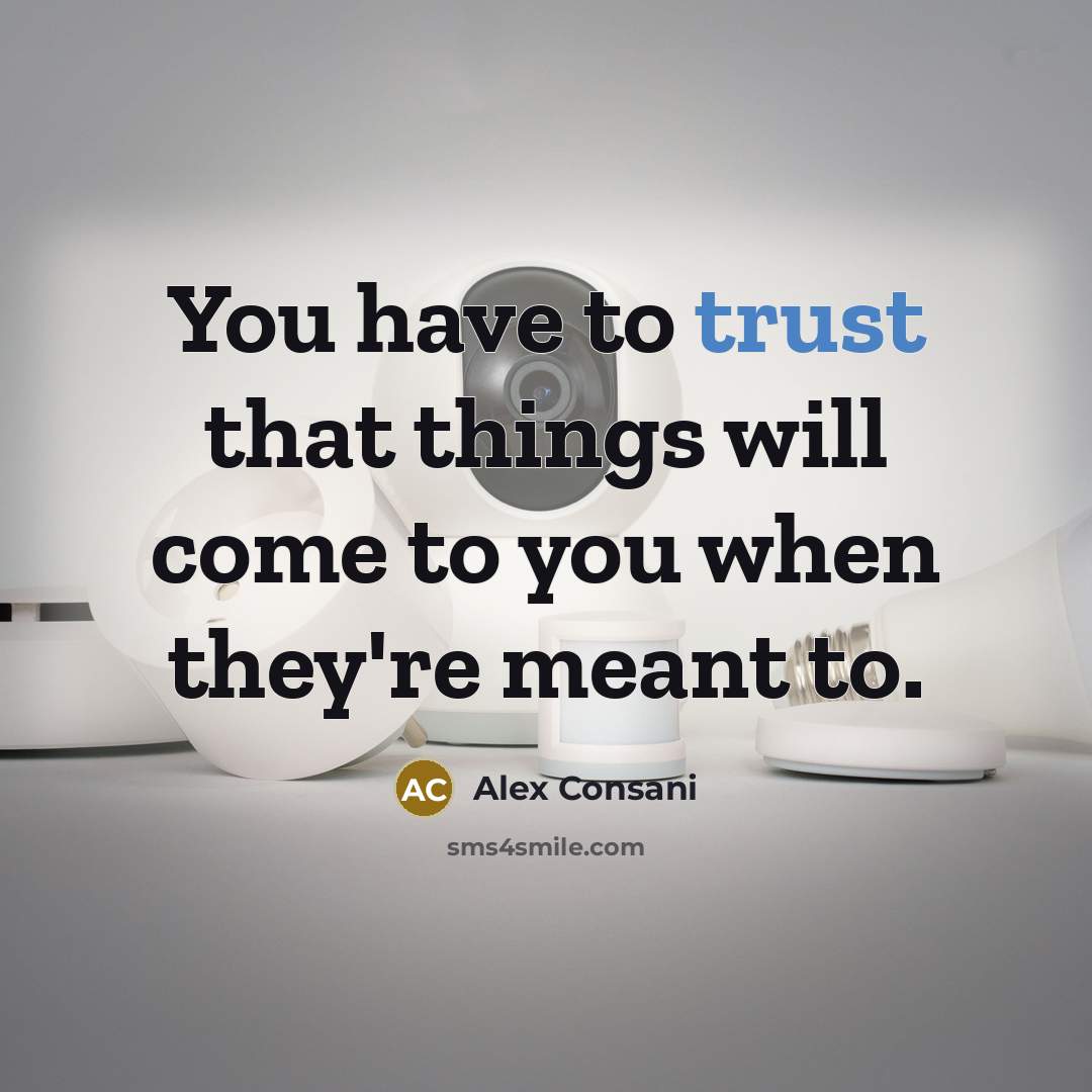 “You have to trust that things will come to you when they're meant to.” quote by Alex Consani