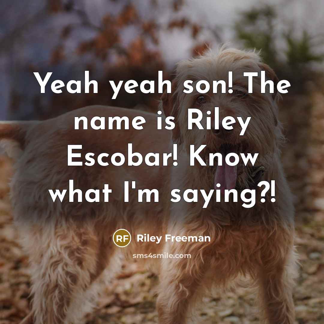 “Yeah yeah son! The name is Riley Escobar! Know what I'm saying?!” quote by Riley Freeman