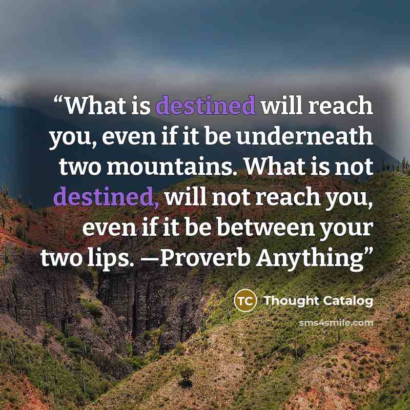 “What is destined will reach you, even if it be underneath two mountains. What is not destined, will not reach you, even if it be between your two lips. —Proverb Anything” quote by Thought Catalog