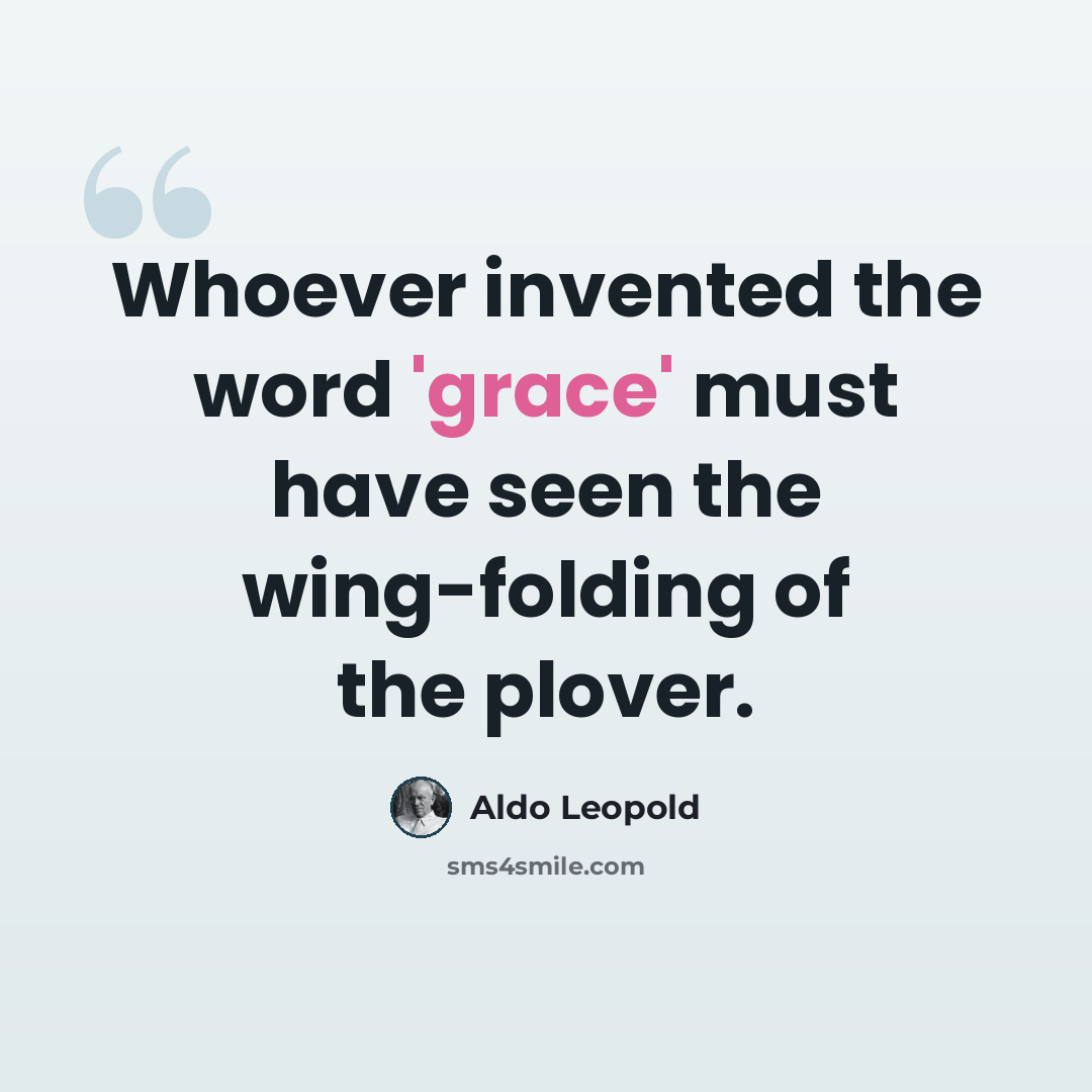 “Whoever invented the word 'grace' must have seen the wing-folding of the plover.” quote by Aldo Leopold