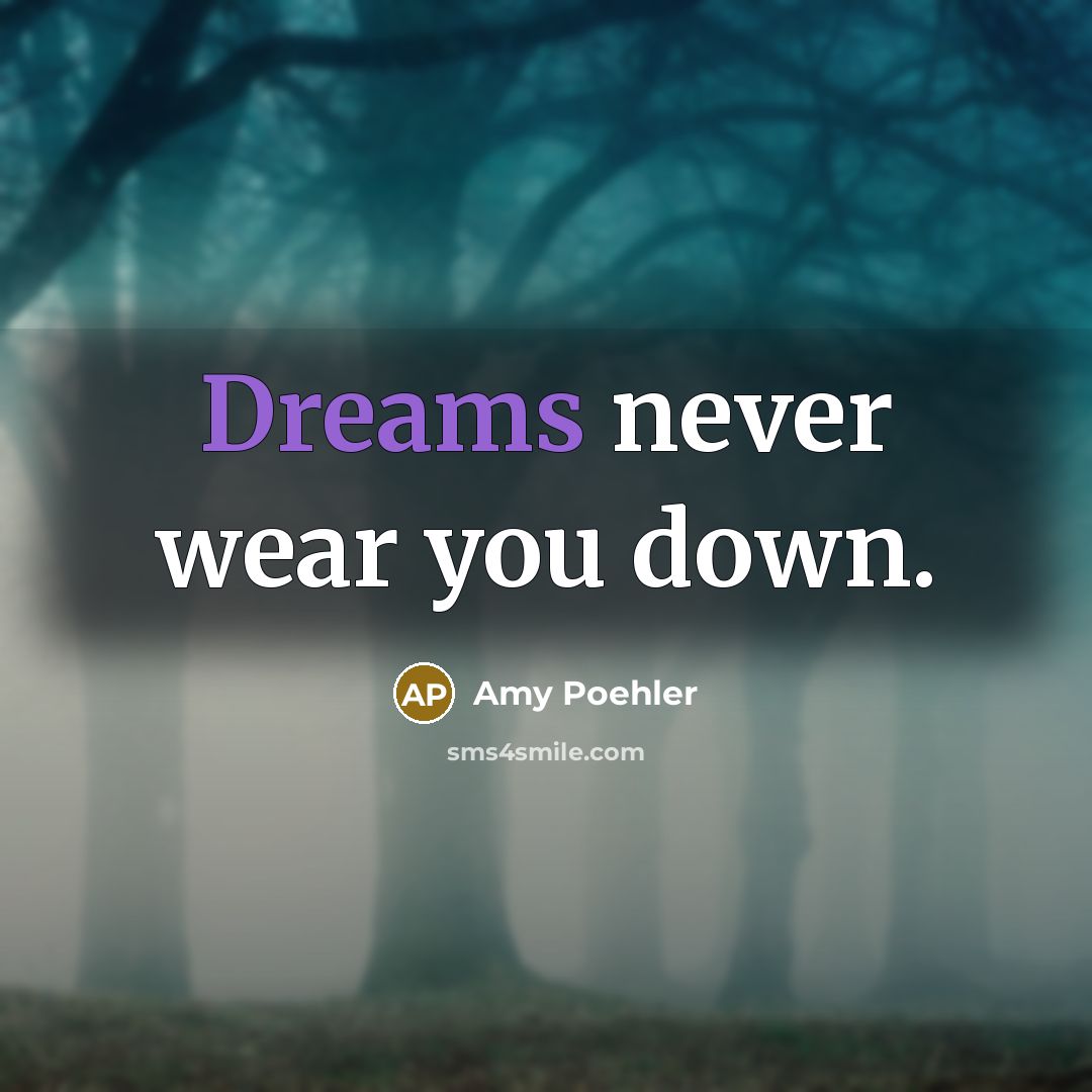 “Dreams never wear you down.” quote by Amy Poehler