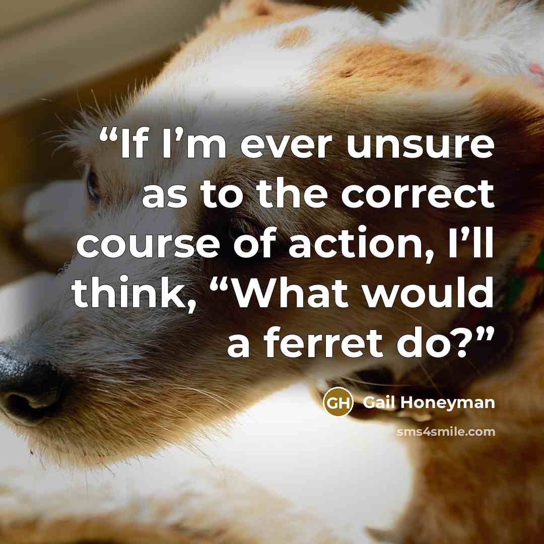“If I’m ever unsure as to the correct course of action, I’ll think, “What would a ferret do?” quote by Gail Honeyman