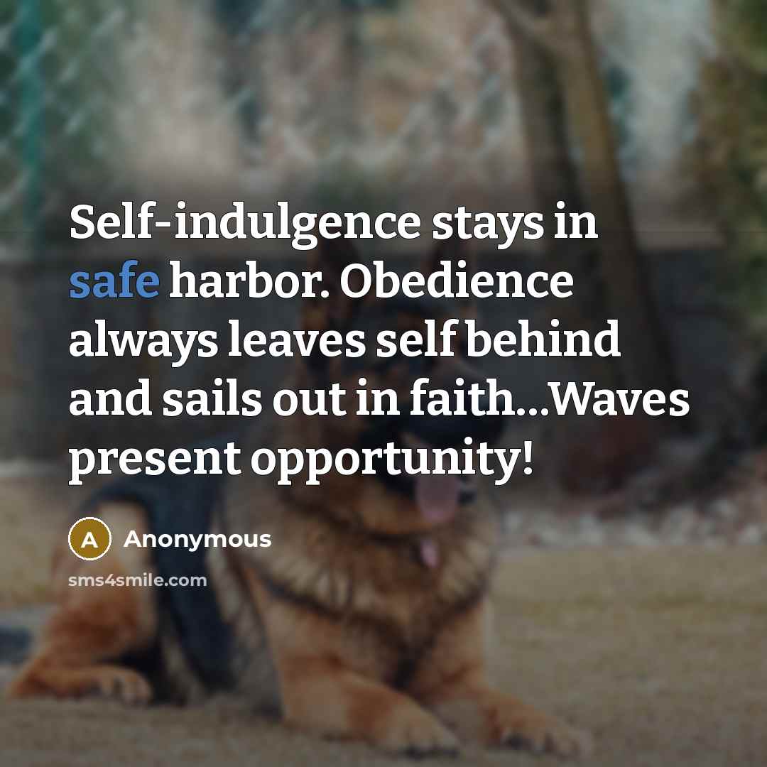 “Self-indulgence stays in safe harbor. Obedience always leaves self behind and sails out in faith…Waves present opportunity!” quote by Anonymous