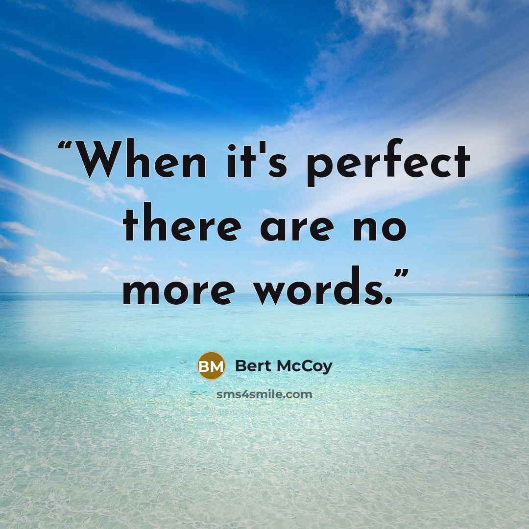 “When it's perfect there are no more words.” quote by Bert McCoy
