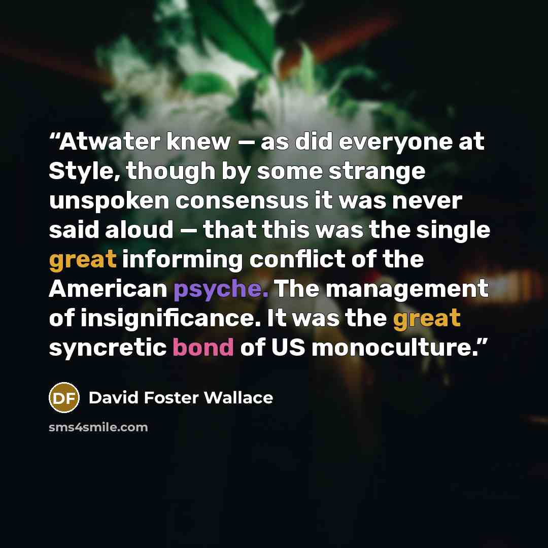“Atwater knew — as did everyone at Style, though by some strange unspoken consensus it was never said aloud — that this was the single great informing conflict of the American psyche. The management of insignificance. It was the great syncretic bond of US monoculture.” quote by David Foster Wallace