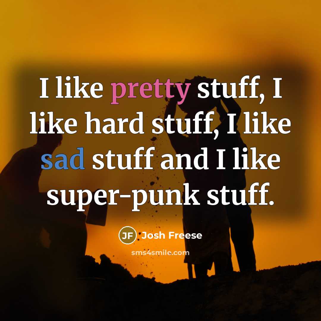 “I like pretty stuff, I like hard stuff, I like sad stuff and I like super-punk stuff.” quote by Josh Freese