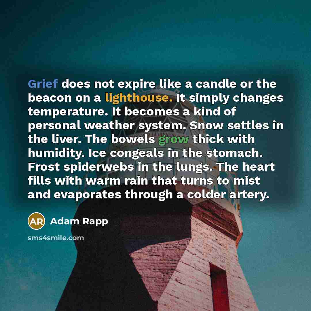 “Grief does not expire like a candle or the beacon on a lighthouse. It simply changes temperature. It becomes a kind of personal weather system. Snow settles in the liver. The bowels grow thick with humidity. Ice congeals in the stomach. Frost spiderwebs in the lungs. The heart fills with warm rain…” quote by Adam Rapp