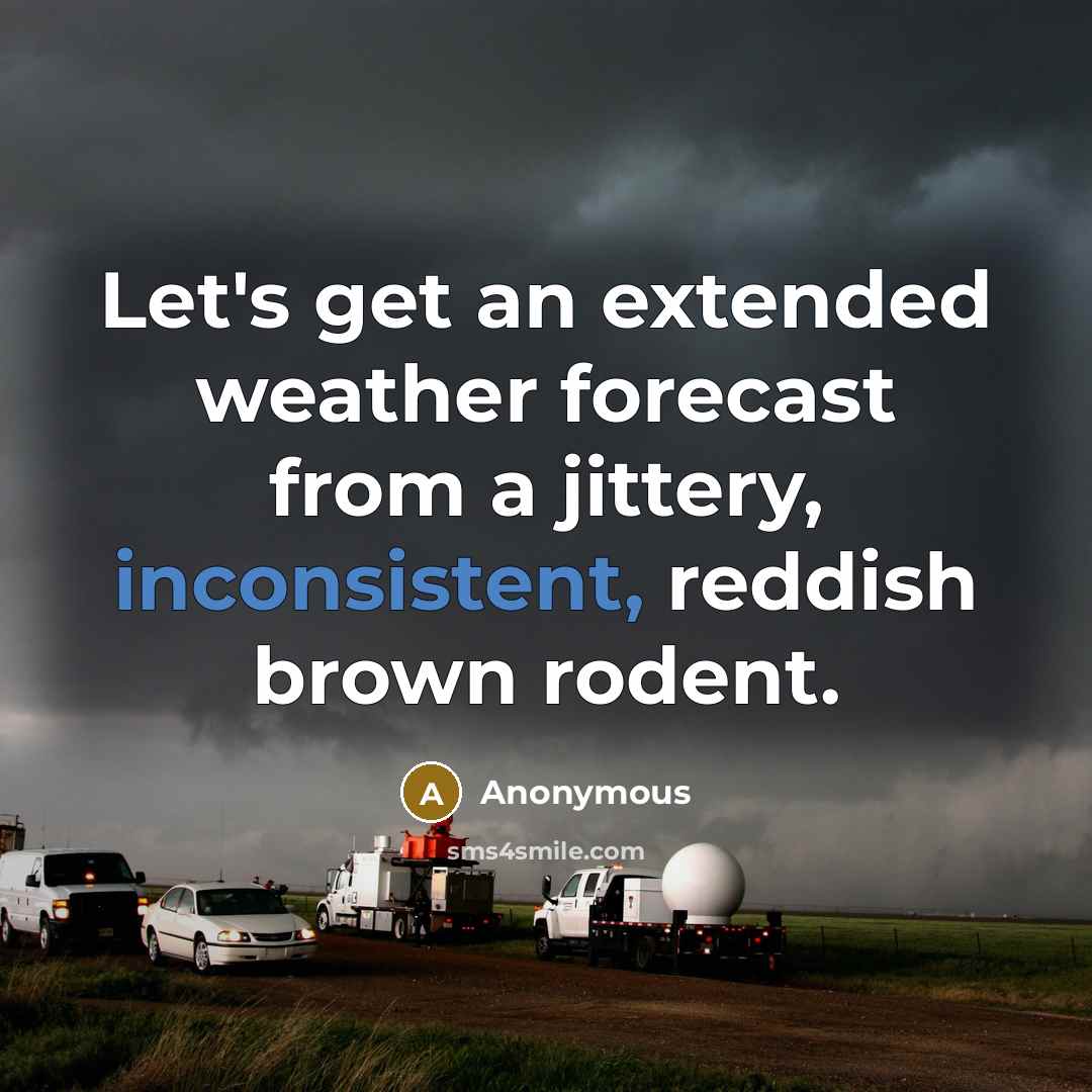 “Let's get an extended weather forecast from a jittery, inconsistent, reddish brown rodent.” quote by Anonymous