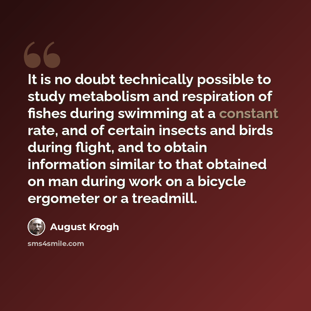 “It is no doubt technically possible to study metabolism and respiration of fishes during swimming at a constant rate, and of certain insects and birds during flight, and to obtain information similar to that obtained on man during work on a bicycle ergometer or a treadmill.” quote by August Krogh